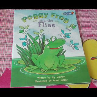 255.美国少儿英语四：Poggy Frog and the Flies