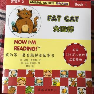 自然拼读-2-fat cat