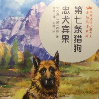 20170430警犬🐩拉拉（十七）