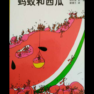 蚂蚁和西瓜🍉