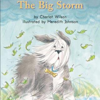 100个儿童英文故事集之Book 55 “The Big Storm”