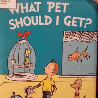 What Pet Should I Get?