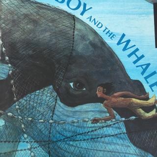 The Boy and the whale