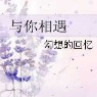 与你相遇  阿紫