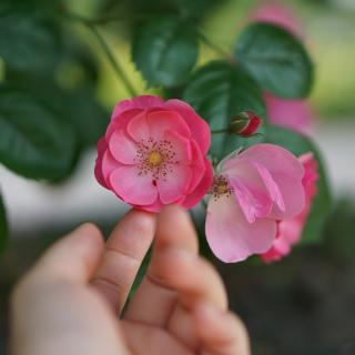 走出去，到日月山川里