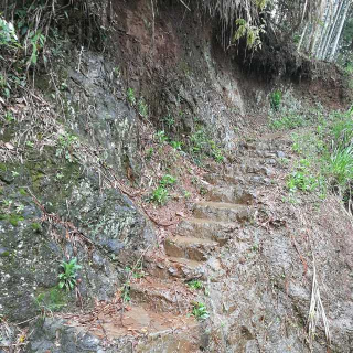 唐诗精选——登乐游原（李商隐）