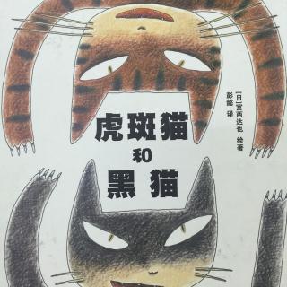 中文绘本《虎斑猫和黑猫》🐯