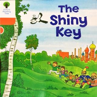 6-12 The shiny key