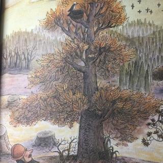 《木偶的森林》——第三章 木偶罗里 13