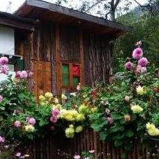 一个鲜花盛开的小院——作者：玉露情歌