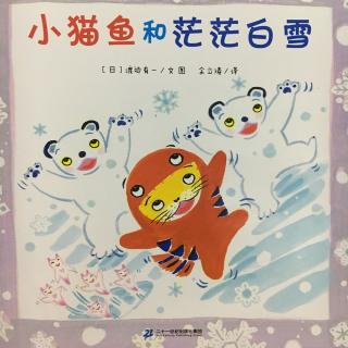 小猫鱼和茫茫白雪