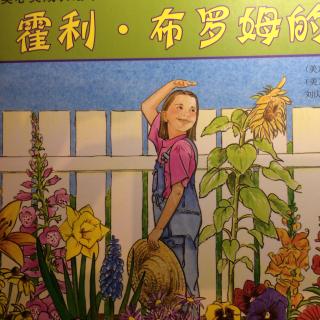 【叶儿妈妈讲故事】73《霍利·布罗姆的花园》（绘本）