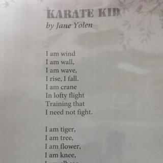 Karate Kid