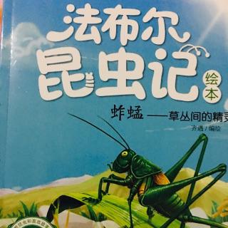 法布尔昆虫记之蚱蜢