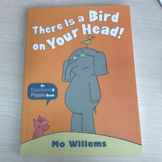 Elephant & piggie book set 3-8 There is a bird on your head!