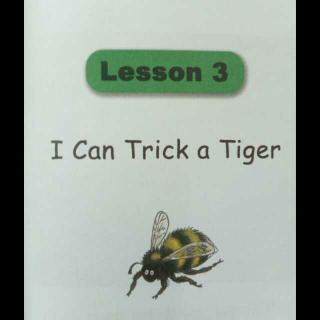 I can trick a tiger.