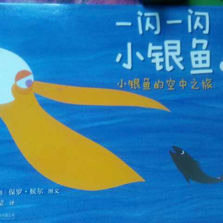20170503《小银鱼的空中之旅》