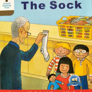 The sock DD1-18