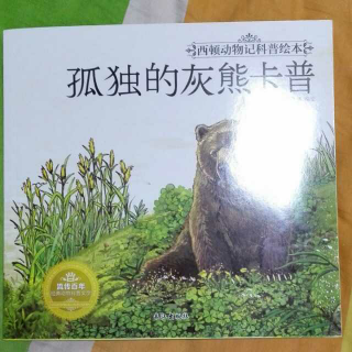 孤独的灰熊卡普🐻