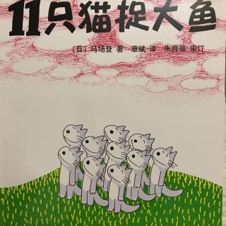 11只猫捉大鱼