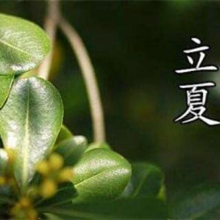 中华节气|立夏：斗指东南，万物皆长