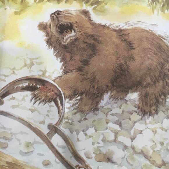 《西顿动物记》之《孤熊华普的一生》二,《孤独的小熊》1