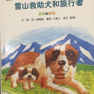 221.《雪山救助犬和旅行者》爱和勇气的故事