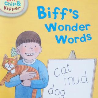 Biff's Wonder Words (L1)