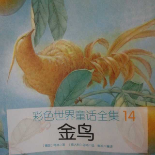 彩色世界童话全集14.金鸟