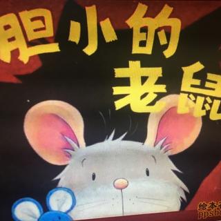 胆小的老鼠🐭