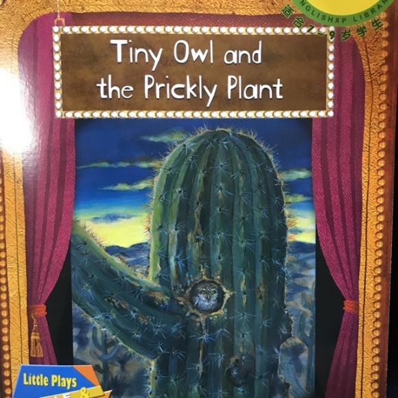 体验2e-tiny owl and the prickly plant