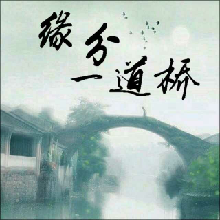 20170504岚-缘分一道桥