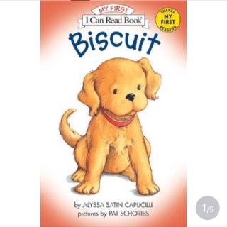 Biscuit