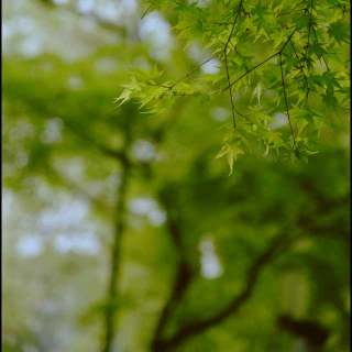 有一天啊，宝宝（四）