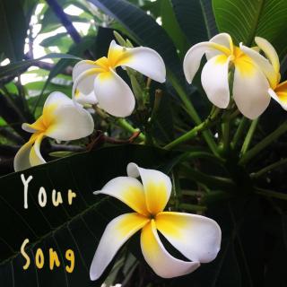 【翻唱】Your Song