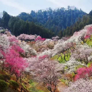 晨读：你的心态决定了你的状态。