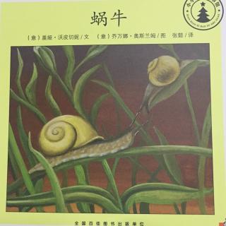 蜗牛🐌