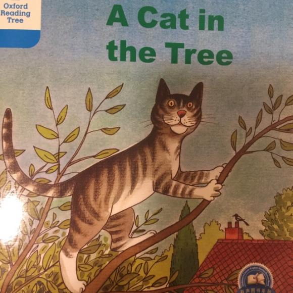 3-10a cat in the tree