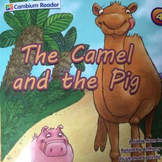 The Camel and the Pig (By Rita)