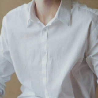 他穿白衬衫，一定很好看。（二）