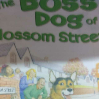 The Boss dog of Blossom street