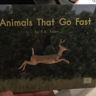 Animals that go fast