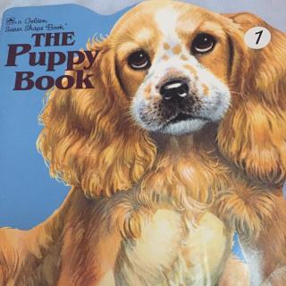 The puppy book(一阶）