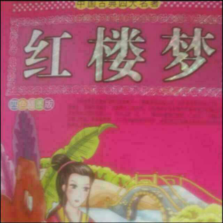 红楼梦――王熙凤协理宁国府