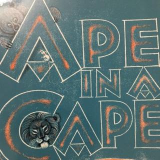 10 Ape in A Cape