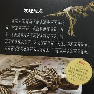 恐龙小百科之远古的恐龙