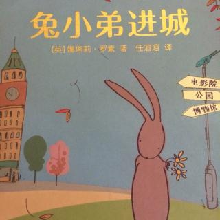 世纪星兔兔🐰广播站-兔小弟进城