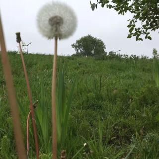 风中的忧伤雨中的累～沉淀