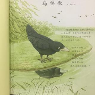 219.乌鸦歌