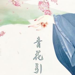 【古风翻唱】舞雪 莲火 奉卮酒-青花引